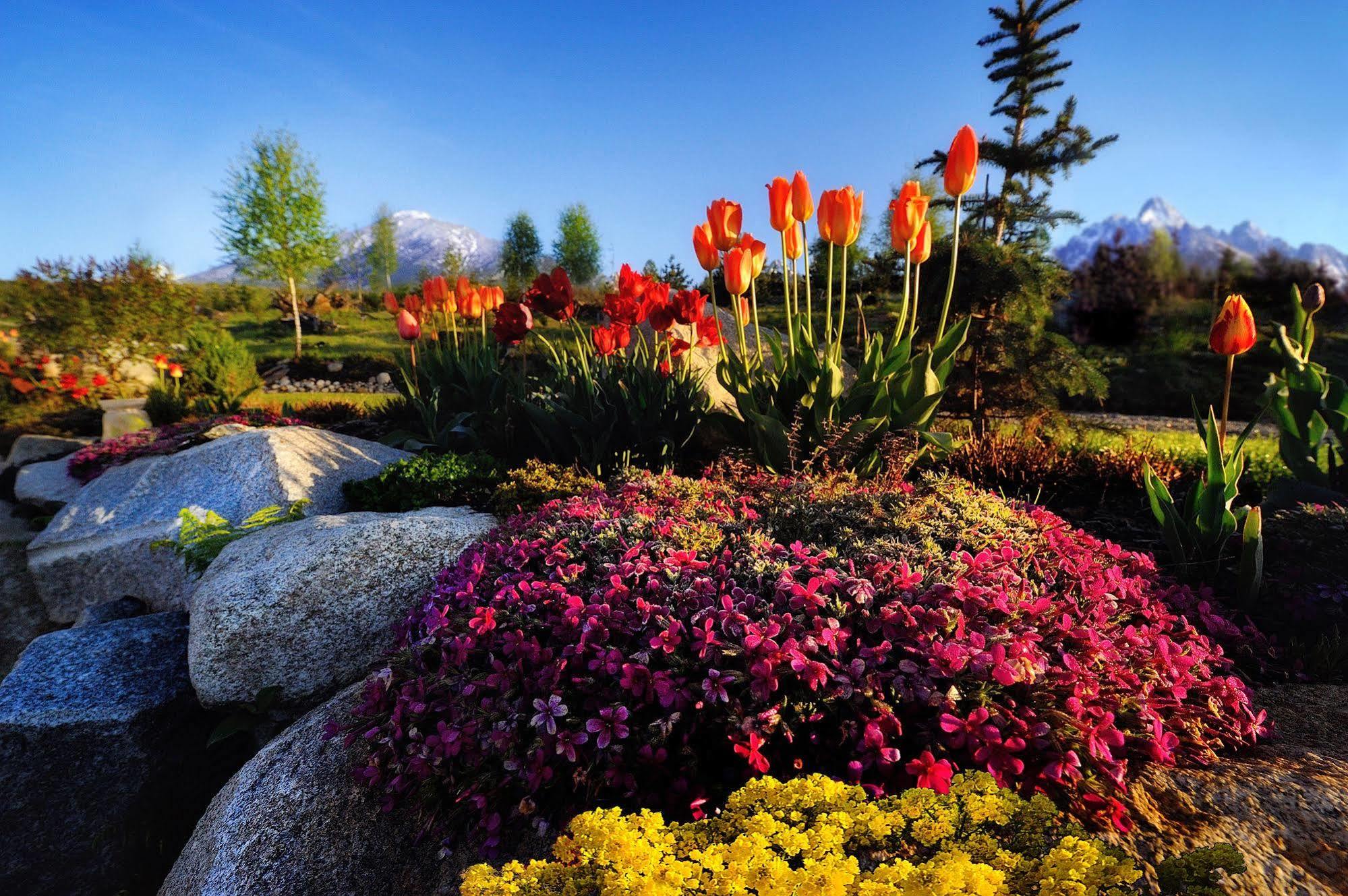 Panoramic Mountain Residence Vysoké Tatry Exterior foto